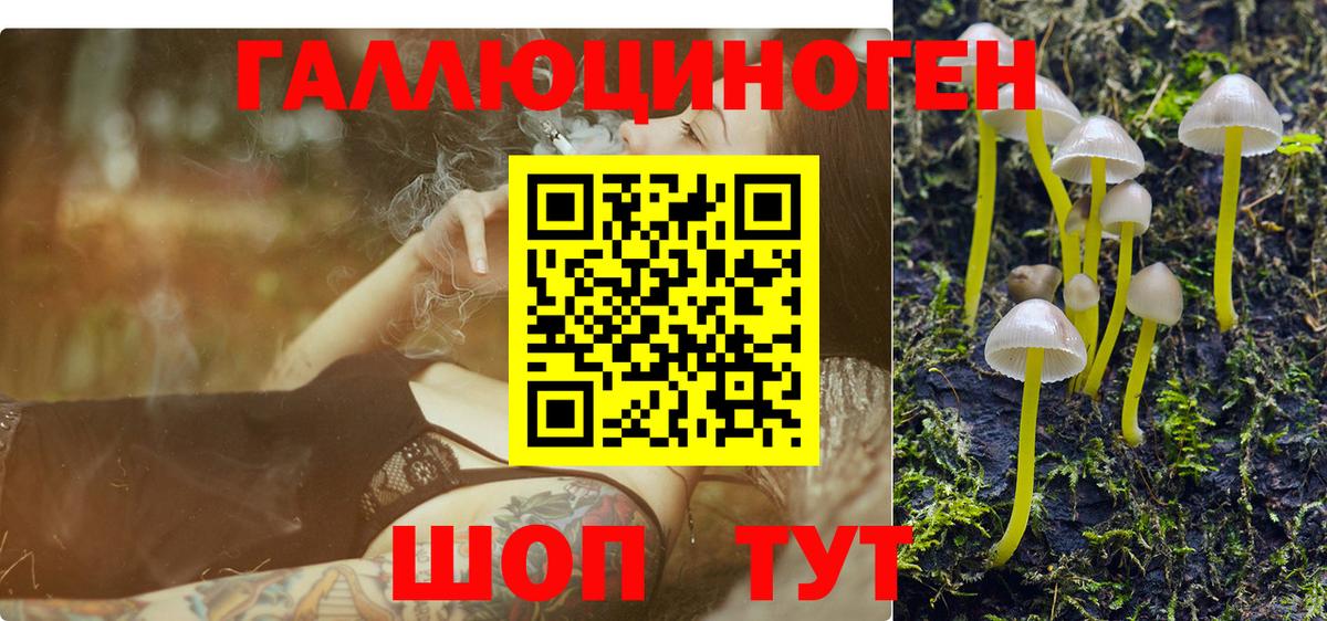 Галлюциногенные грибы GOLDEN TEACHER  Вход с VPN  Набережные Челны 